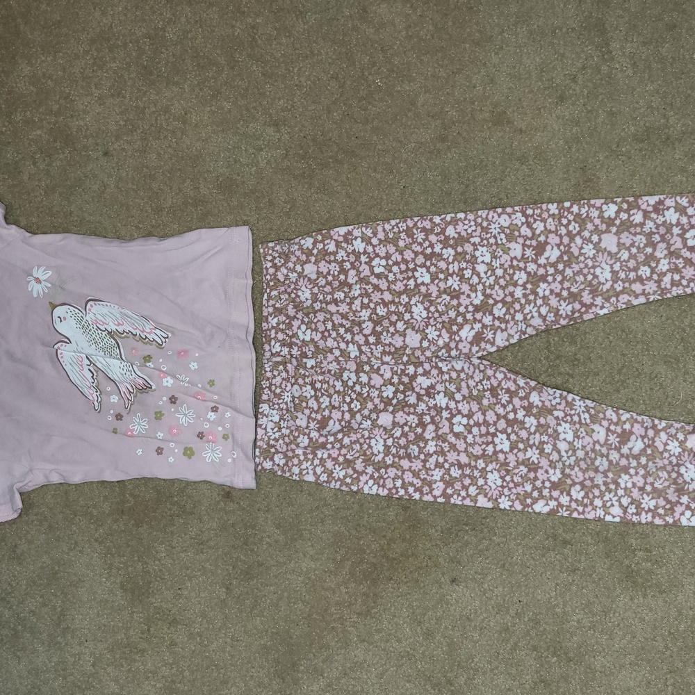 Pink Bird Top and Floral Pants Set